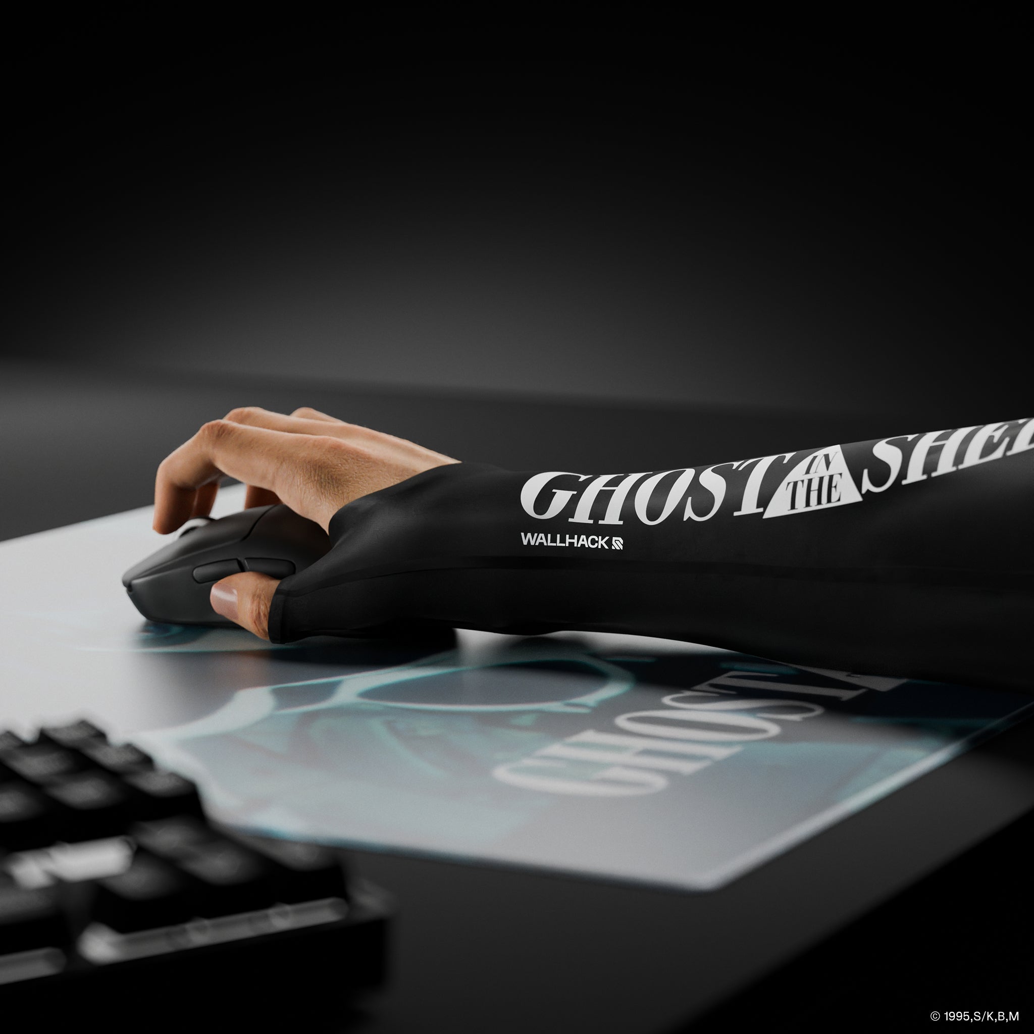 Pro Sleeve Ghost in the Shell '95