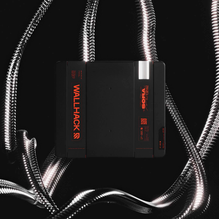 carnage sora wallhack