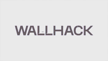 About wallhack hero banner