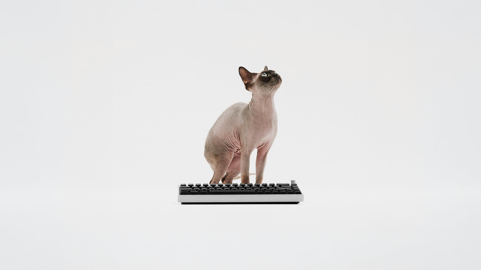 WALLHACK K-001 — the next generation of WALLHACK premium gaming peripherals